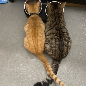 Meet your Posher, Loida